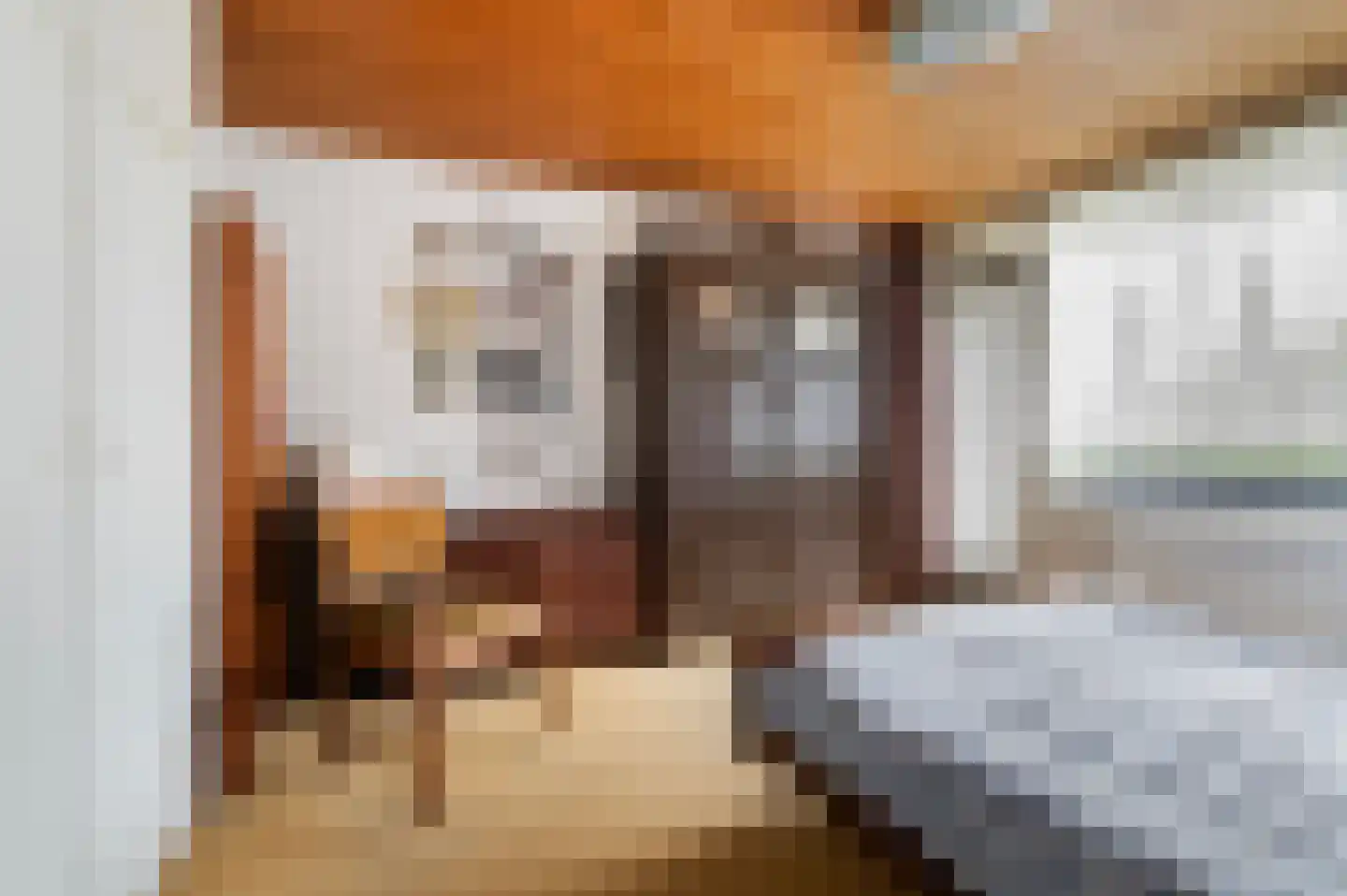 Brilmanskamp 5 Bathmen thumbnail 24