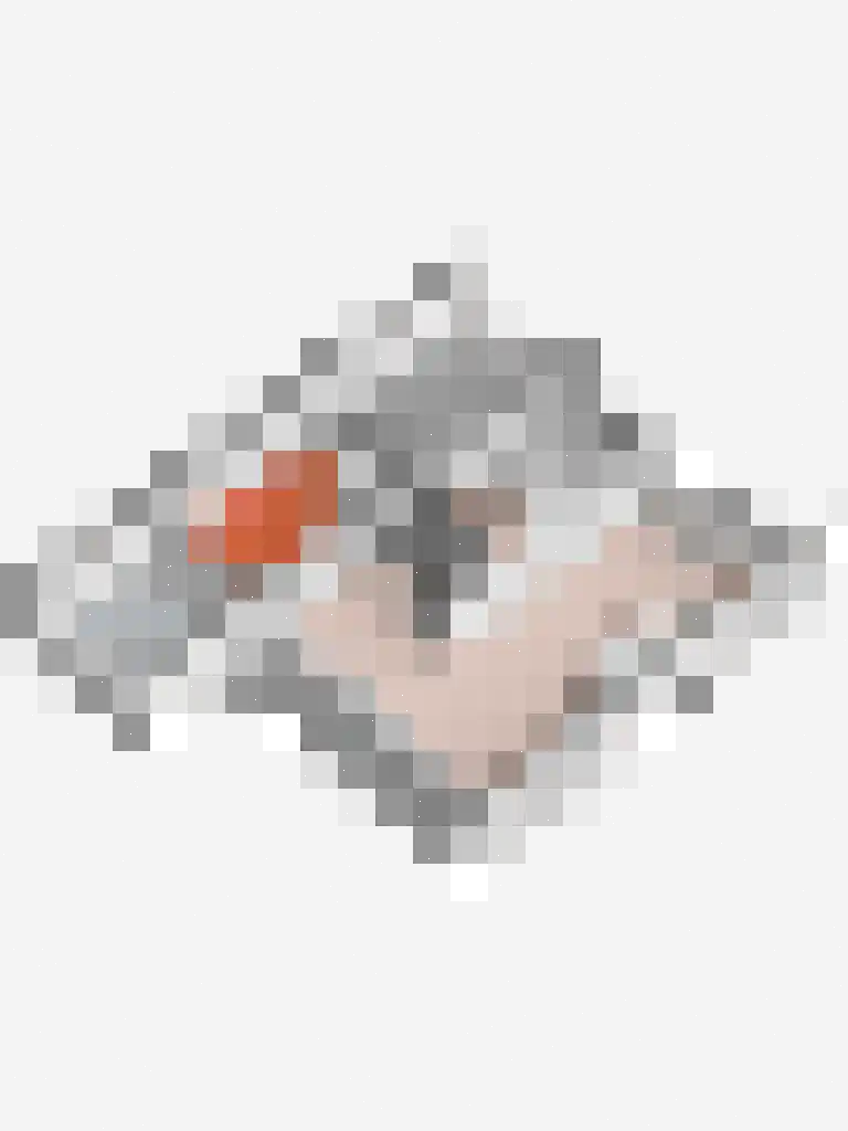 Brilmanskamp 5 Bathmen thumbnail 37