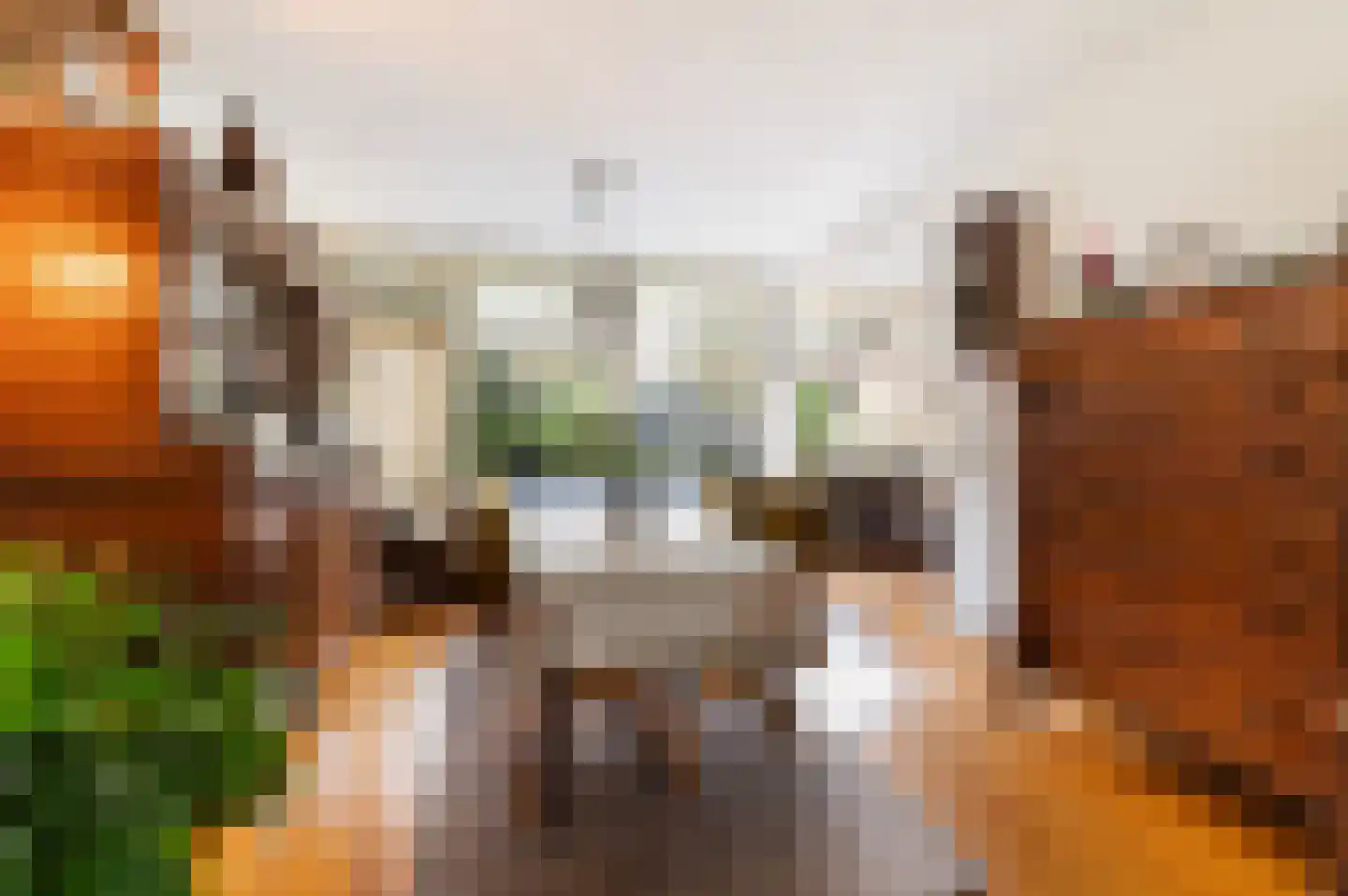 Brilmanskamp 5 Bathmen thumbnail 7