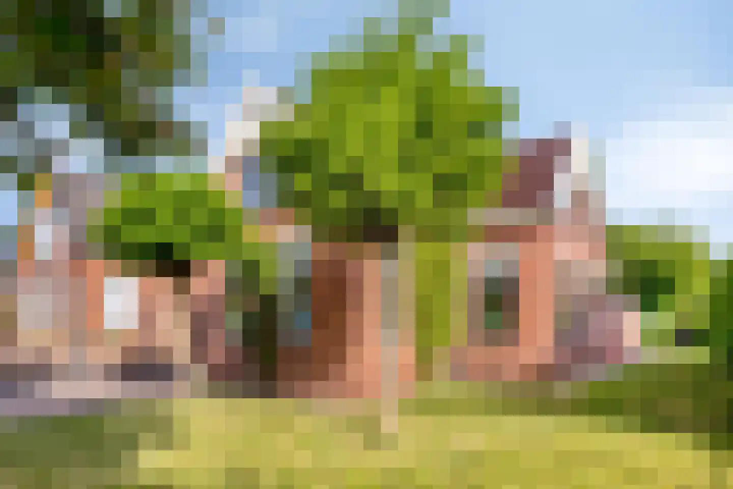 Brilweg 7 Zuidhorn
