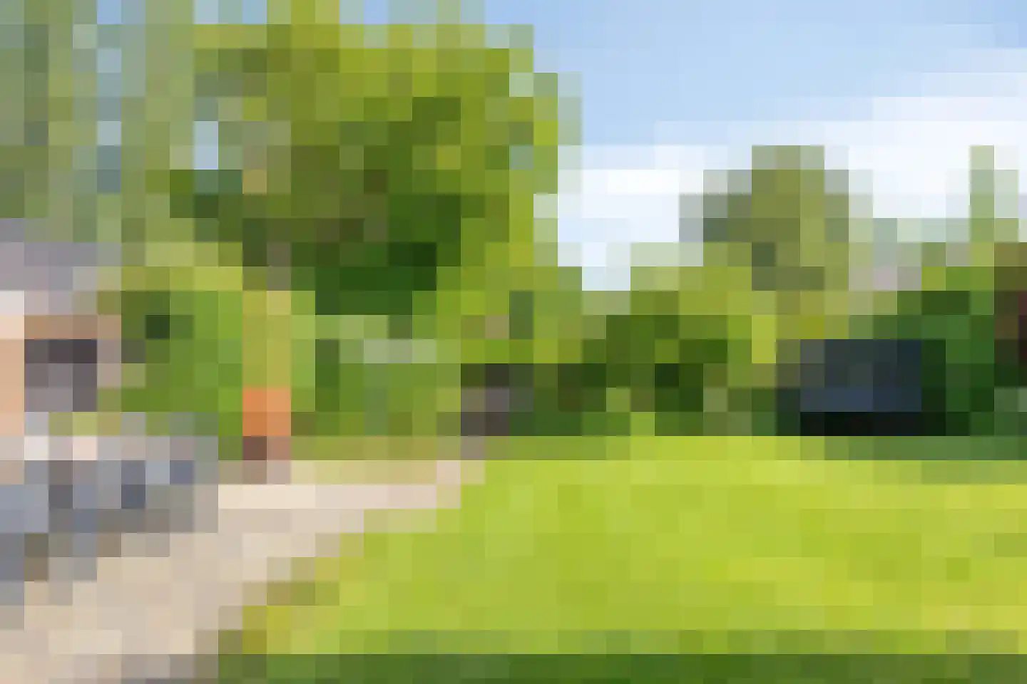 Brilweg 7 Zuidhorn thumbnail 18
