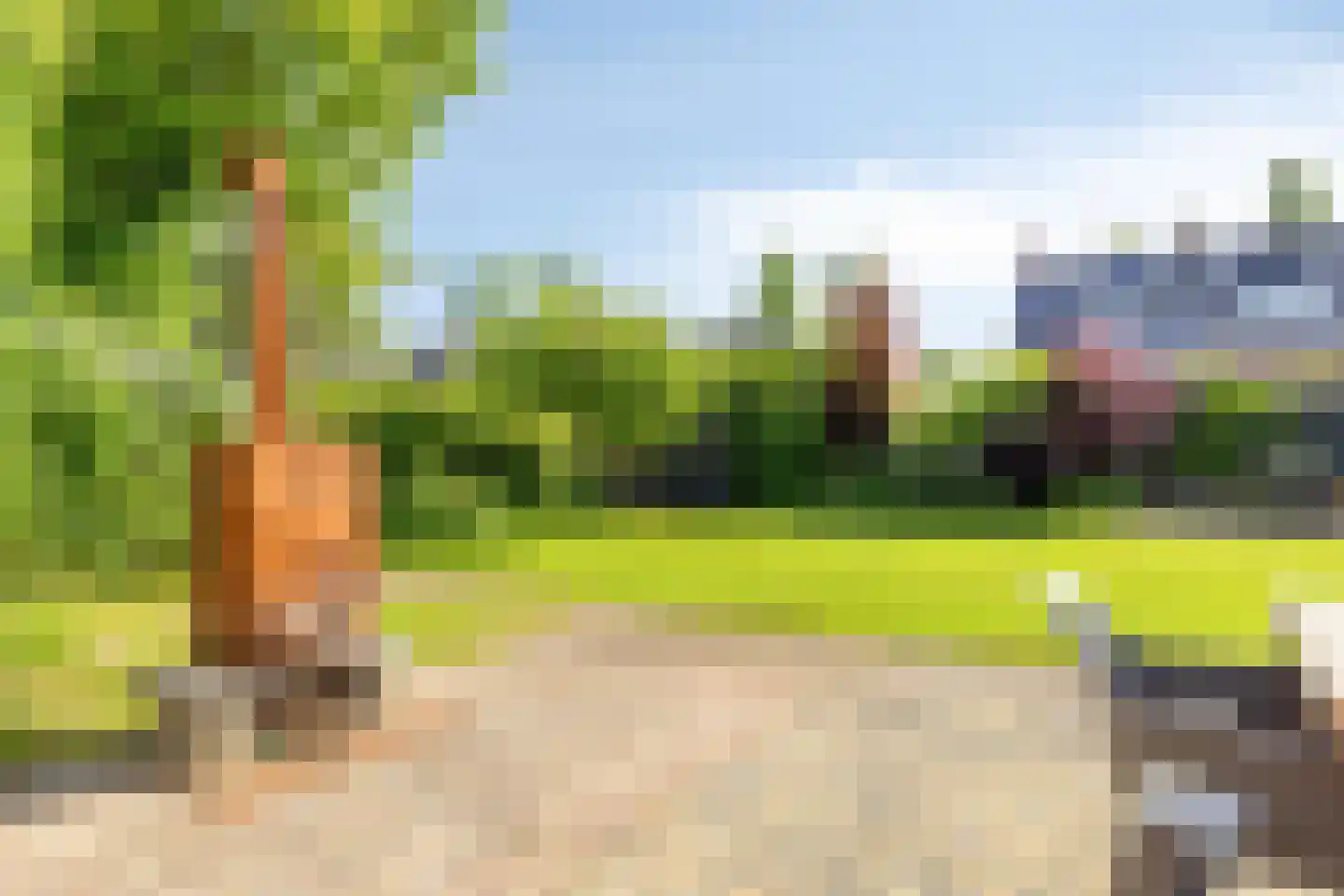 Brilweg 7 Zuidhorn thumbnail 19