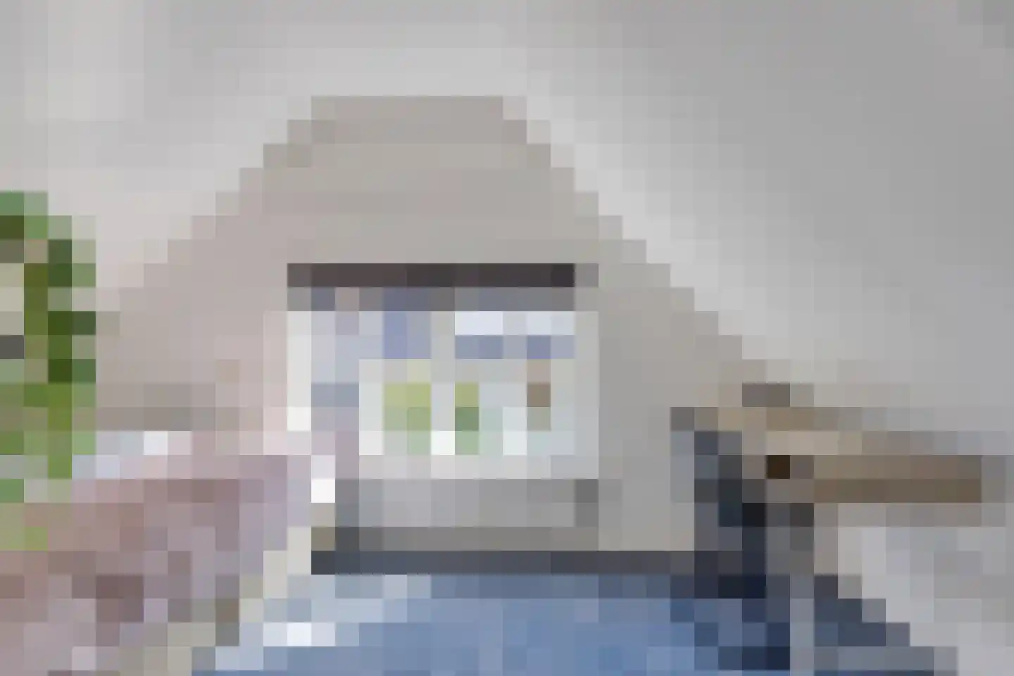 Brilweg 7 Zuidhorn thumbnail 35