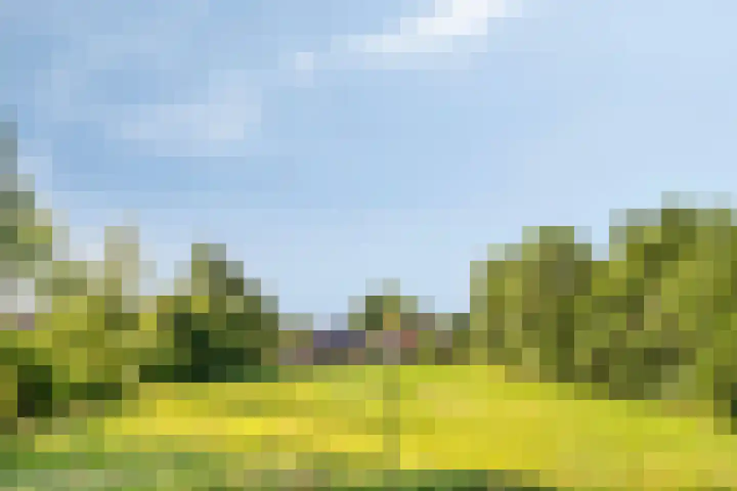 Brimeulaan 14 Grootegast thumbnail 26
