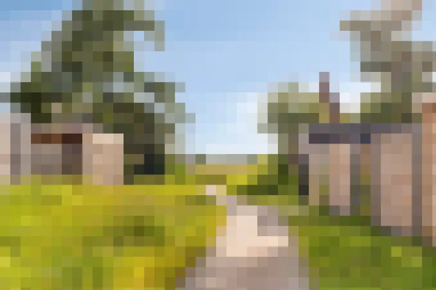 Brimeulaan 14 Grootegast thumbnail 27
