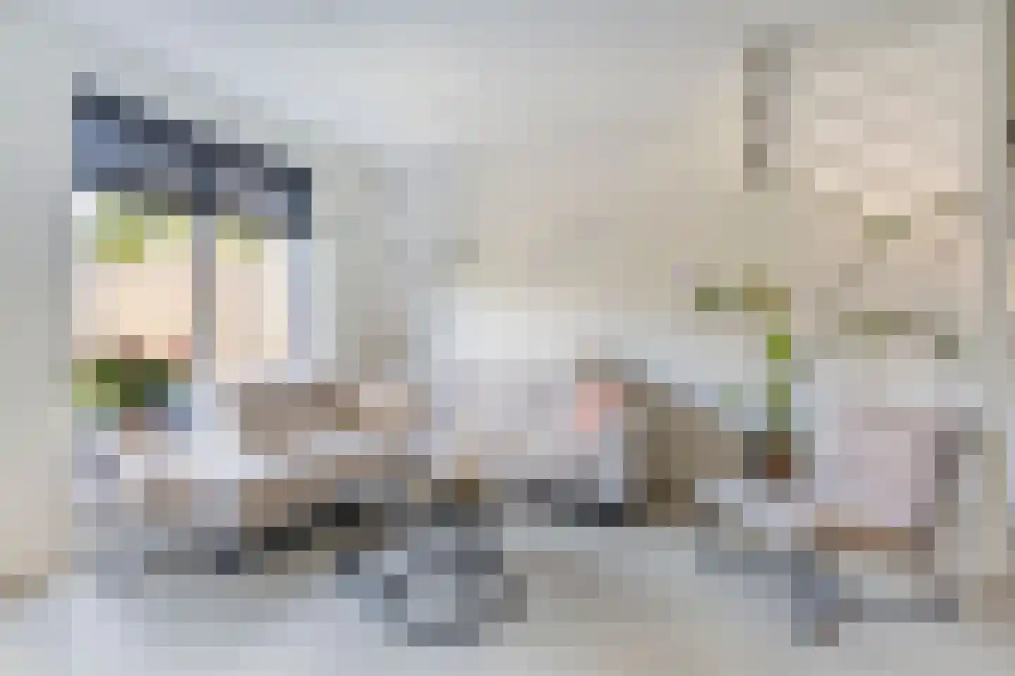 Brimeulaan 14 Grootegast thumbnail 6