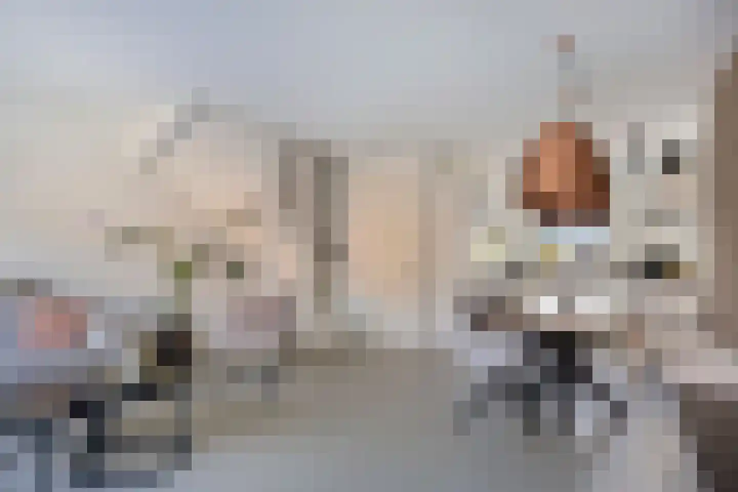 Brimeulaan 14 Grootegast thumbnail 8