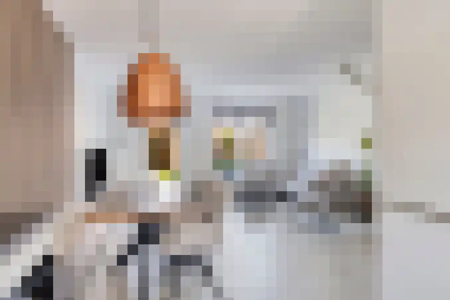 Brimeulaan 14 Grootegast thumbnail 9