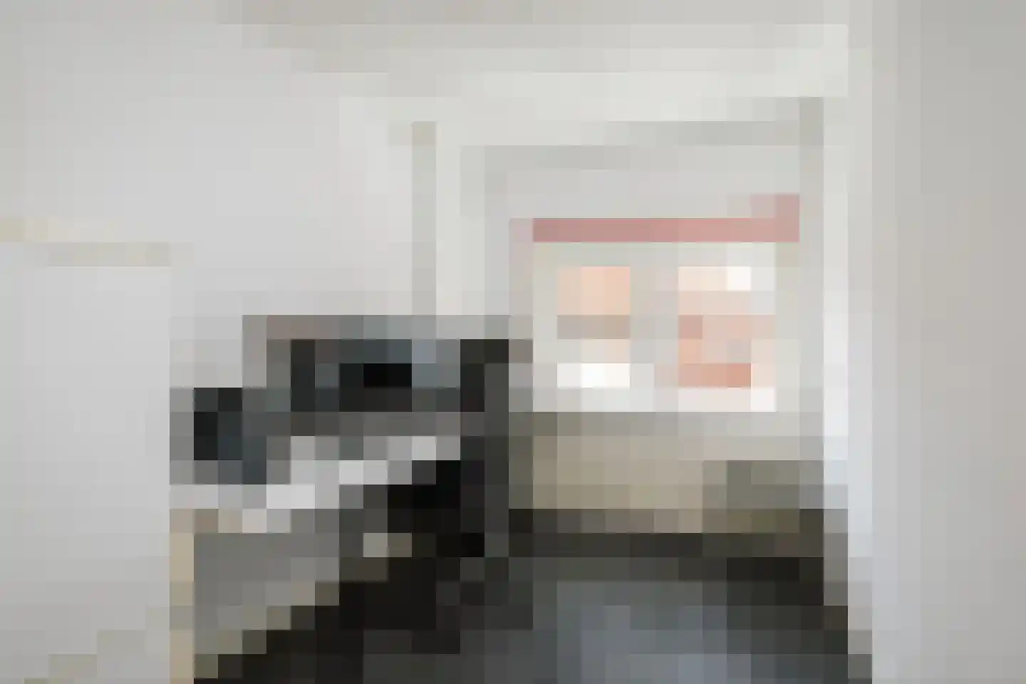 Brinckerinckstraat 10 Deventer thumbnail 14