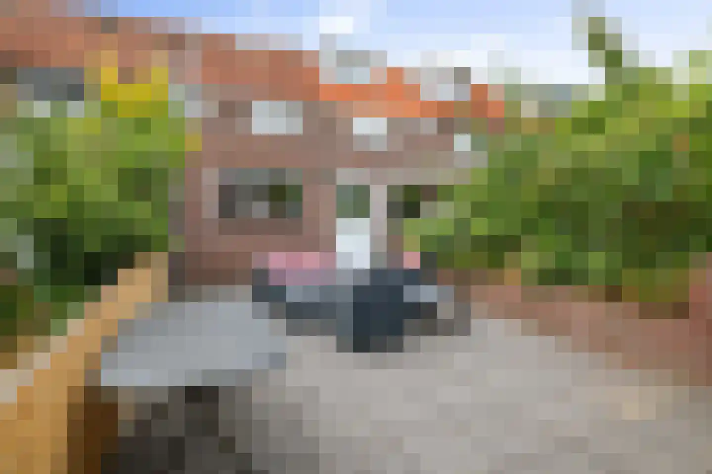 Brinckerinckstraat 10 Deventer thumbnail 21