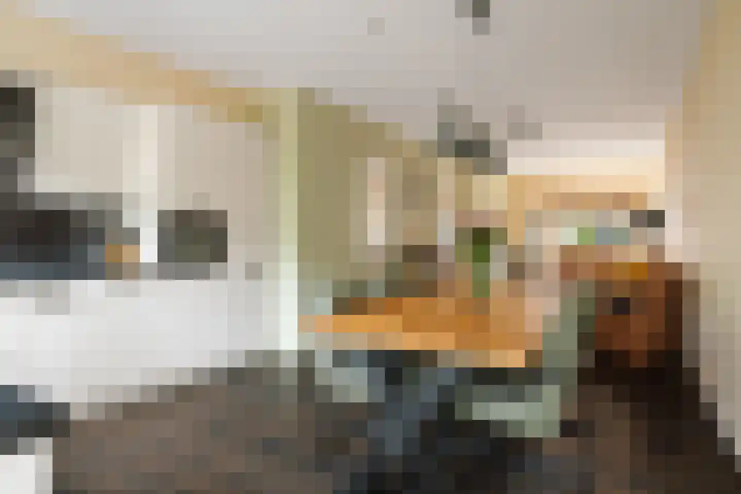 Brinckerinckstraat 10 Deventer thumbnail 8