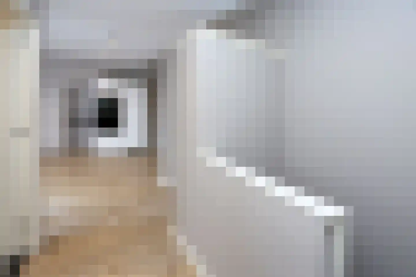 Brinckerinckstraat 32 Den Haag thumbnail 14