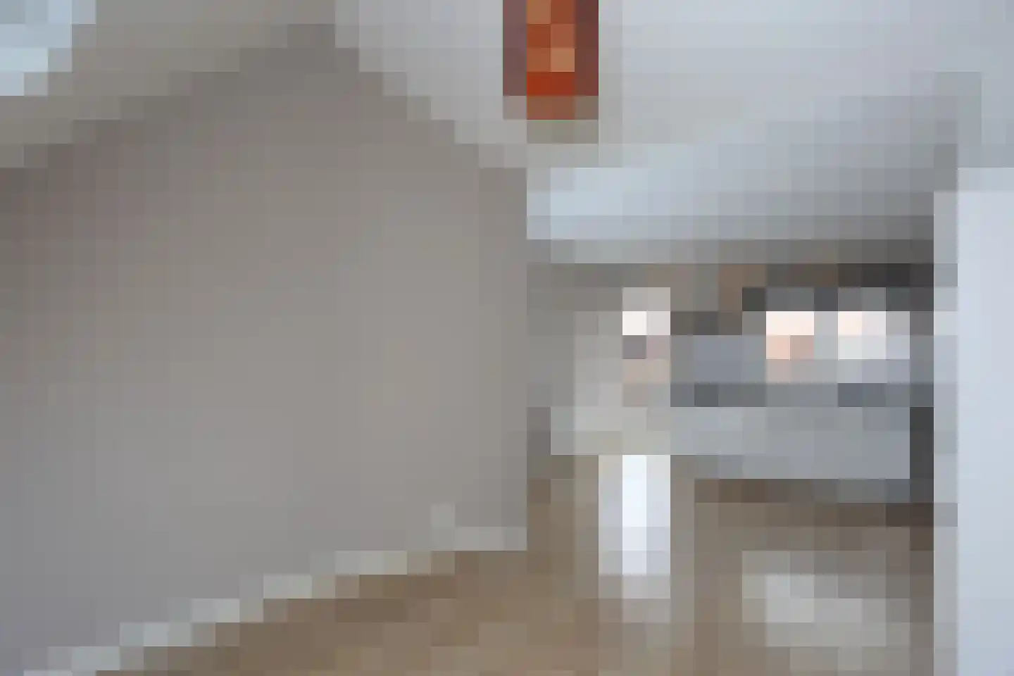 Brinckerinckstraat 32 Den Haag thumbnail 19