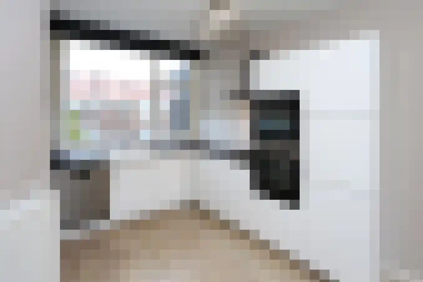 Brinckerinckstraat 32 Den Haag thumbnail 4