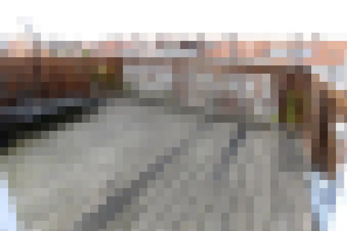 Brinckerinckstraat 32 Den Haag thumbnail 5