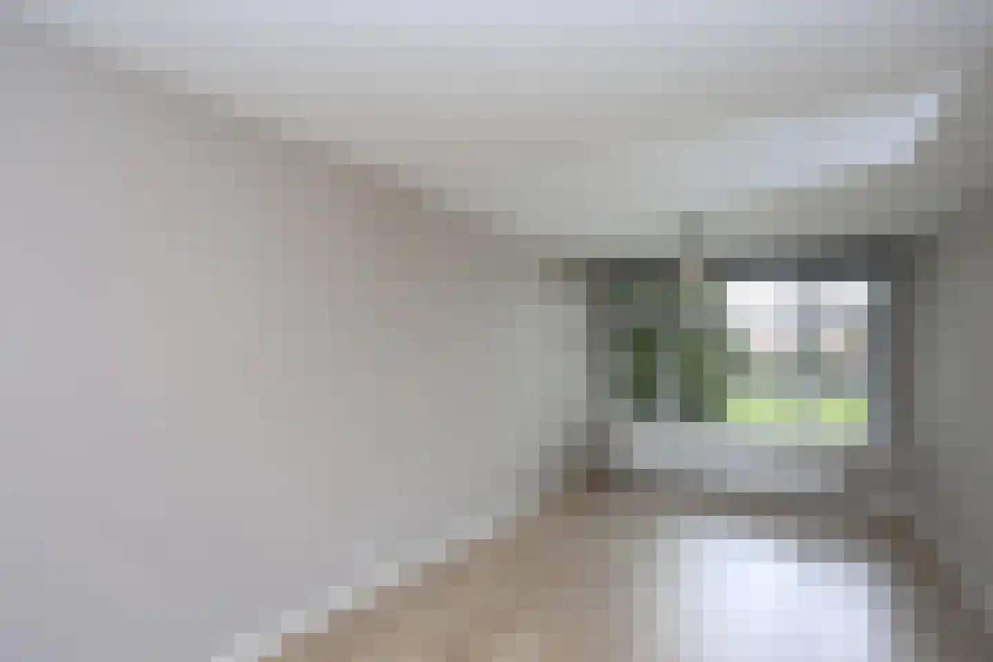 Brinckerinckstraat 32 Den Haag thumbnail 7