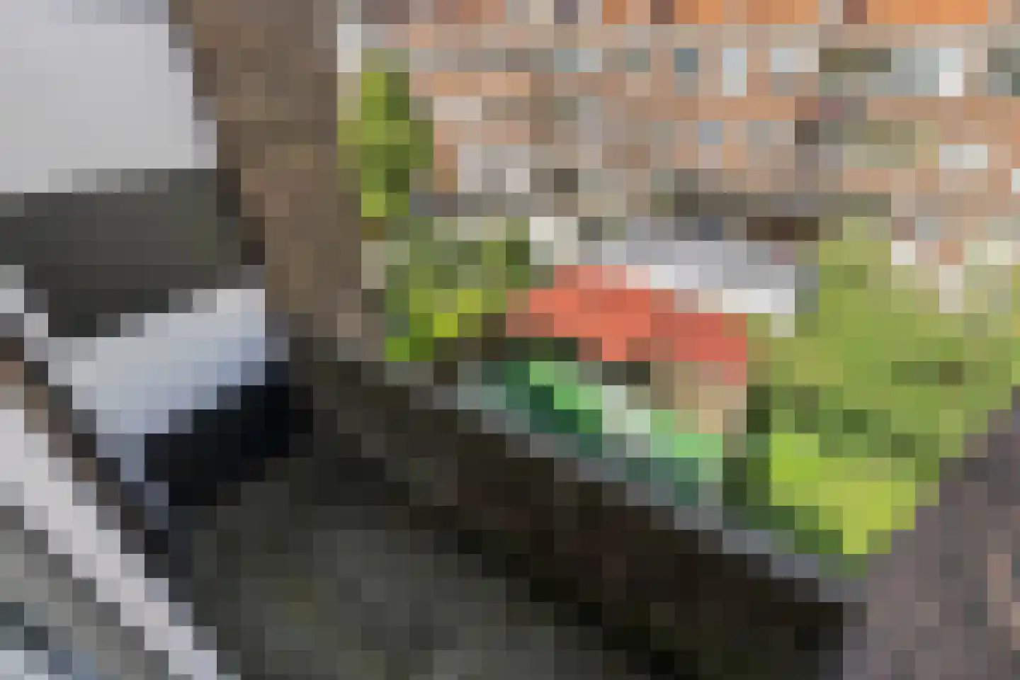 Brinckerinckstraat 44 Den Haag thumbnail 11