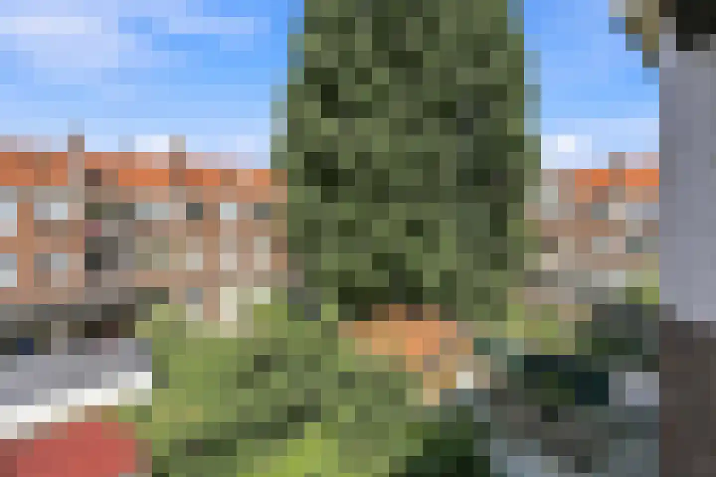 Brinckerinckstraat 44 Den Haag thumbnail 13