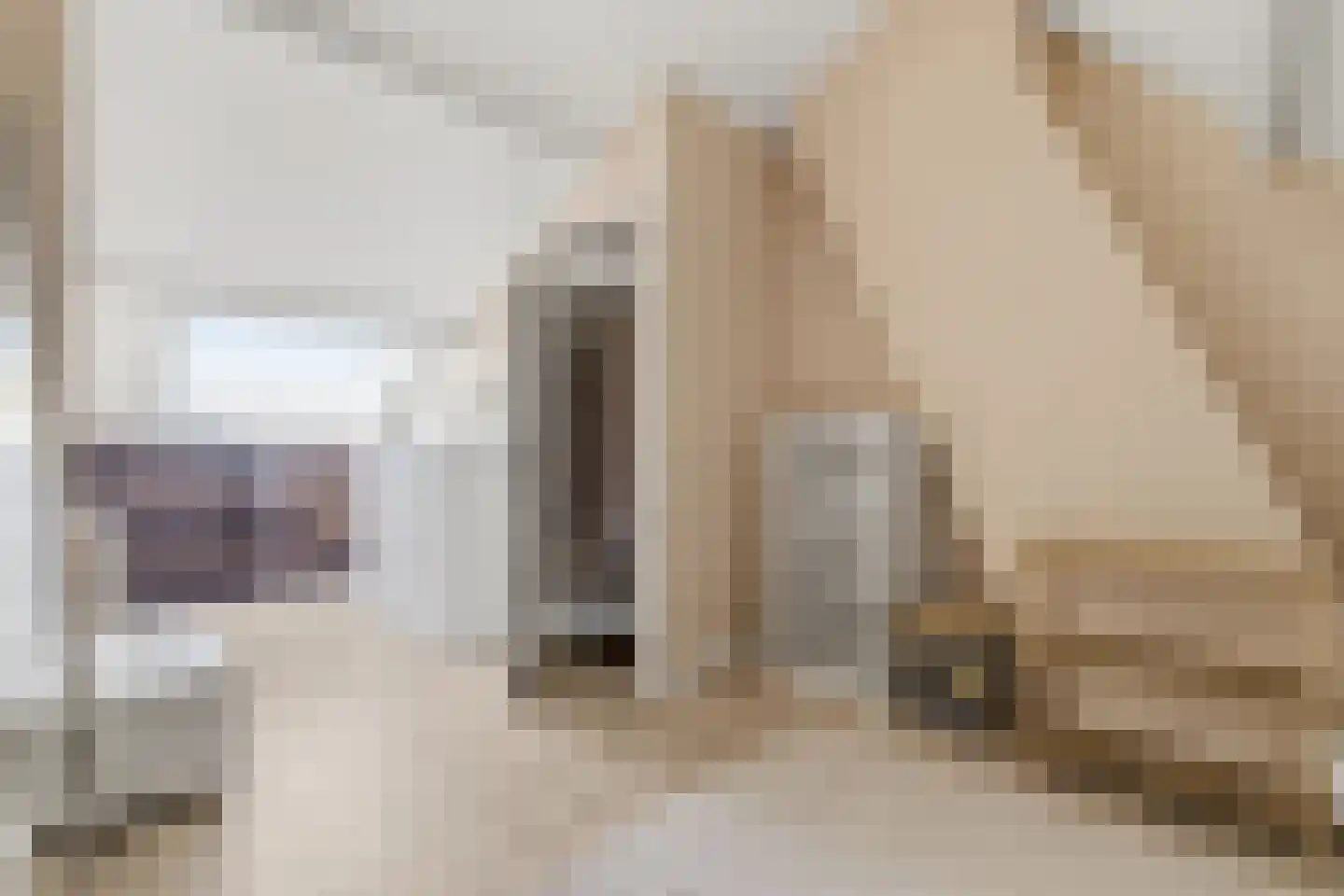 Brinckerinckstraat 44 Den Haag thumbnail 30