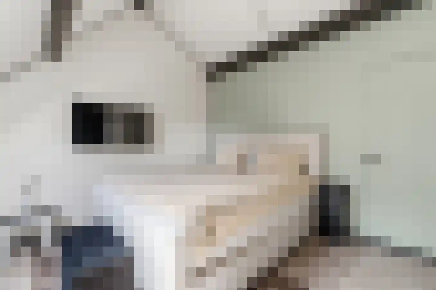 Brinckerinckstraat 44 Den Haag thumbnail 33