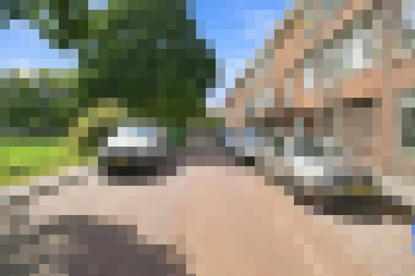 Brinckerinckstraat 44 Den Haag thumbnail 39