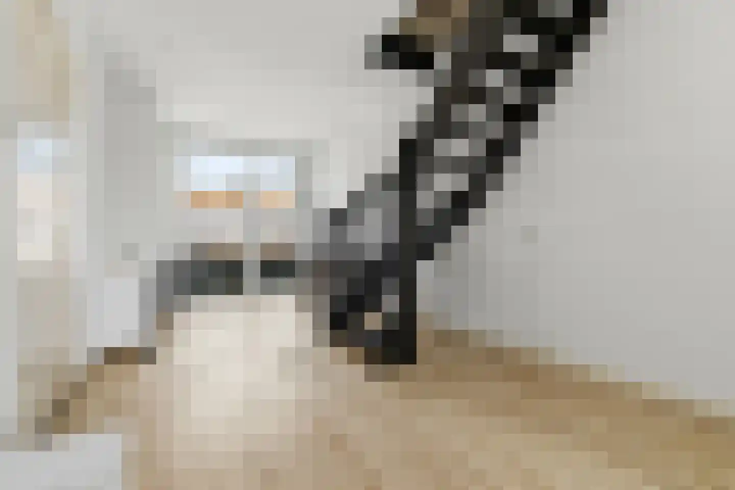 Brinckerinckstraat 44 Den Haag thumbnail 8