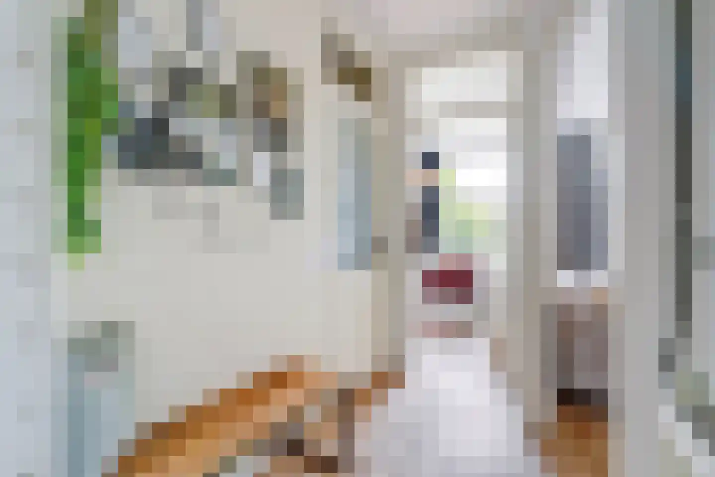 Brinckerinckstraat 84 Den Haag thumbnail 15