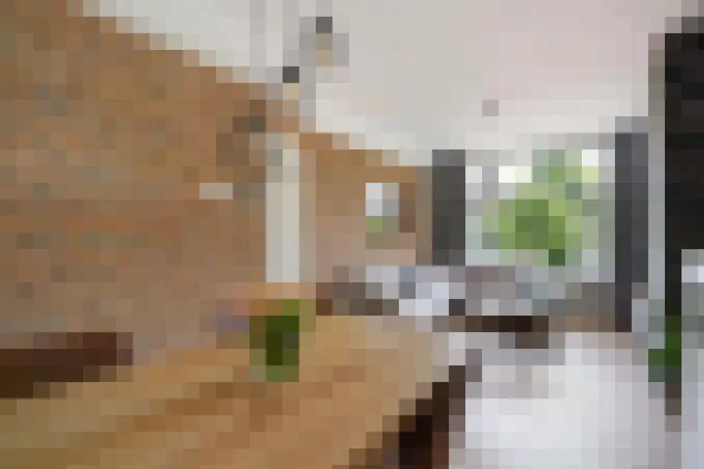 Brinckerinckstraat 84 Den Haag thumbnail 23