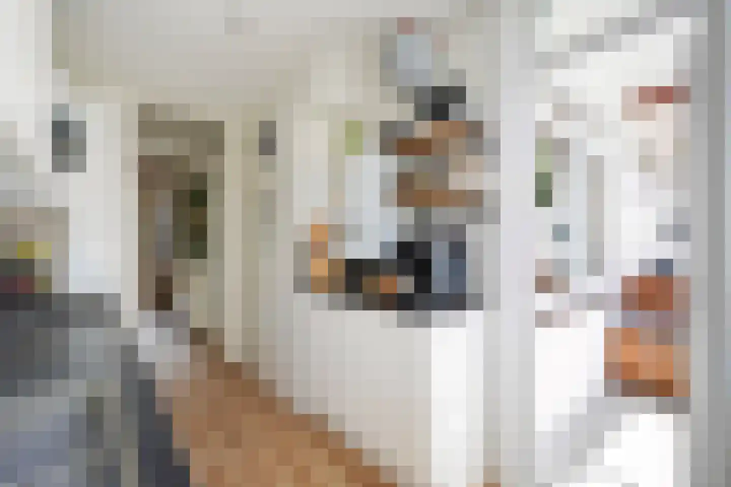 Brinckerinckstraat 84 Den Haag thumbnail 28
