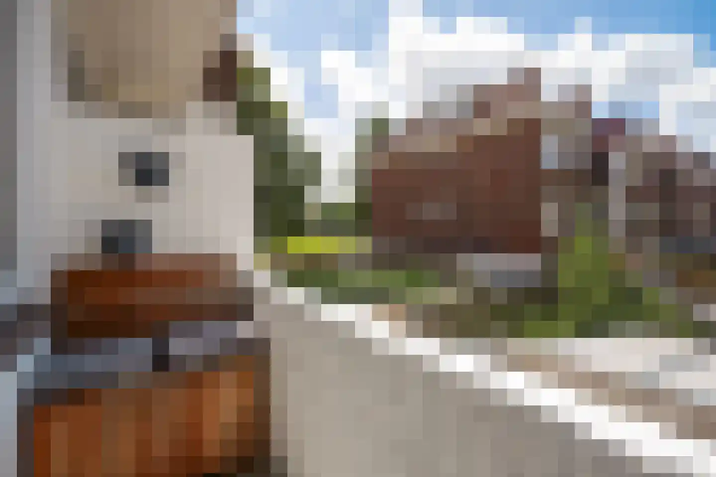 Brinckerinckstraat 84 Den Haag thumbnail 30