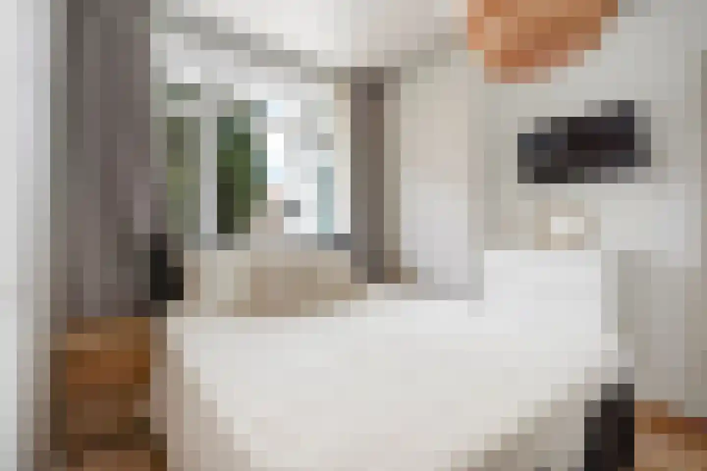 Brinckerinckstraat 84 Den Haag thumbnail 32
