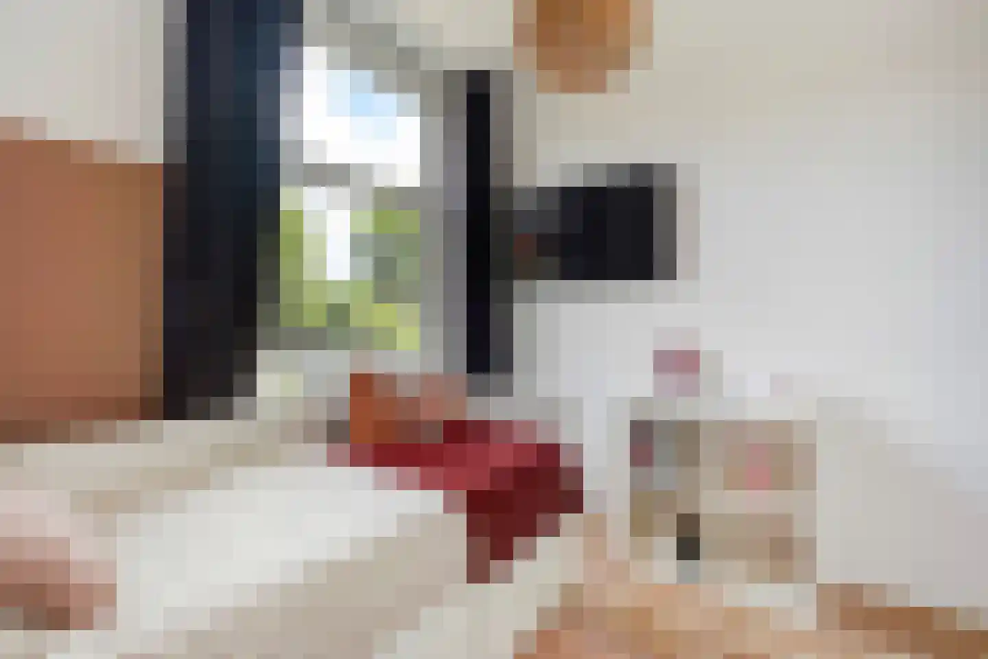 Brinckerinckstraat 84 Den Haag thumbnail 36