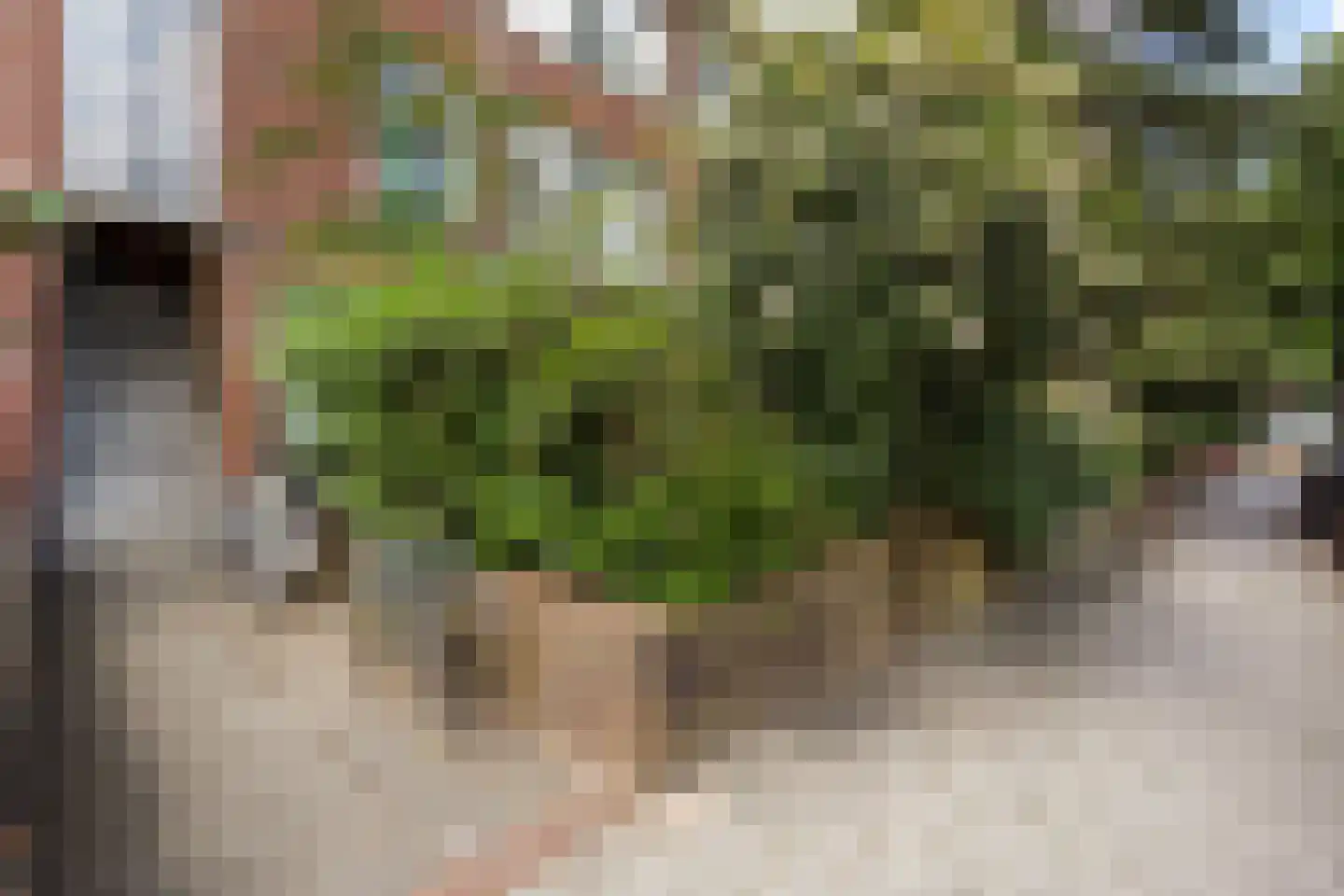 Brinckerinckstraat 84 Den Haag thumbnail 9