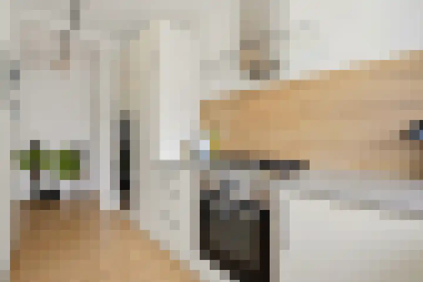 Brinckerinckstraat 90 Den Haag thumbnail 12