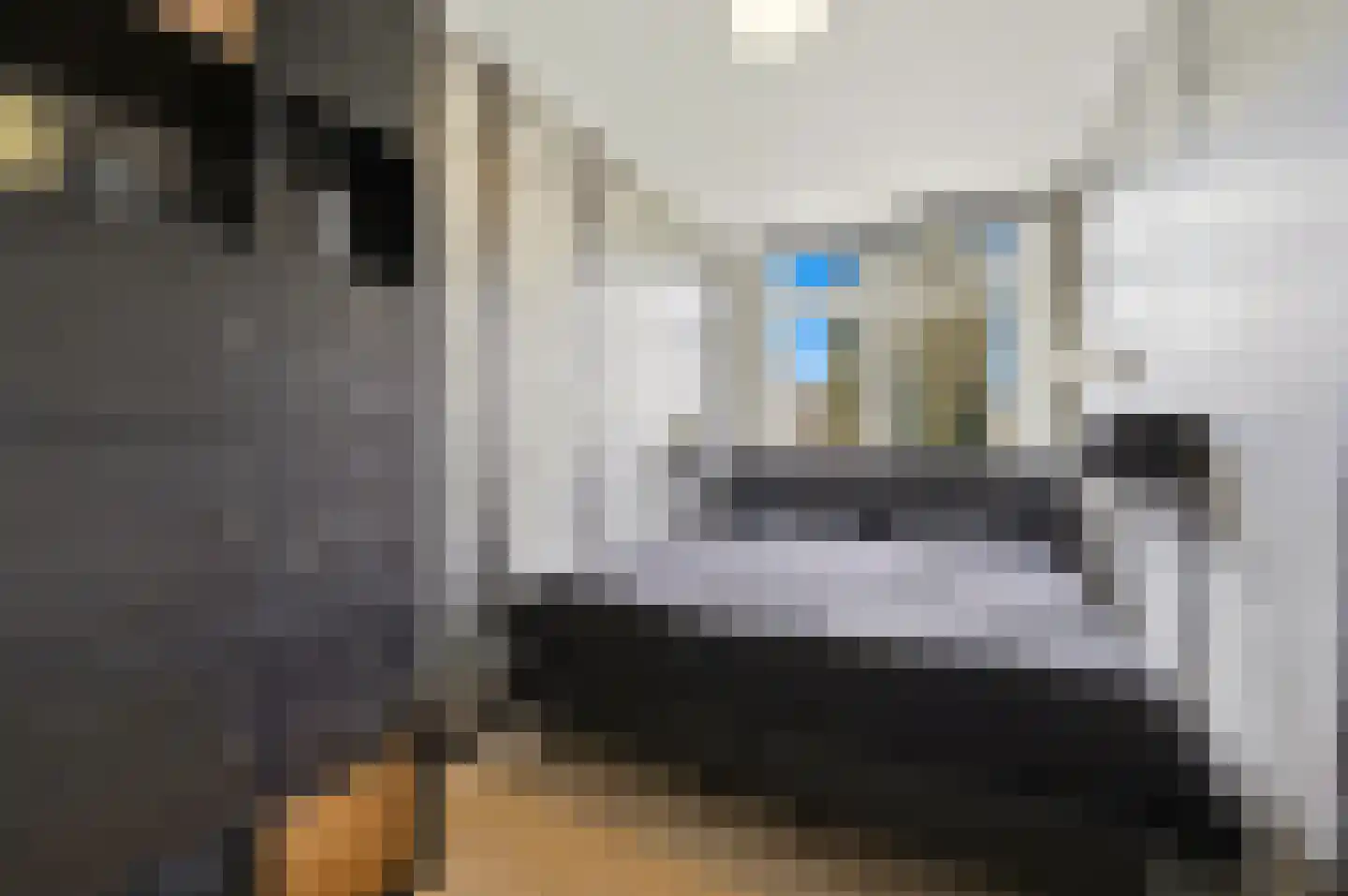 Brinckerinckstraat 90 Den Haag thumbnail 15