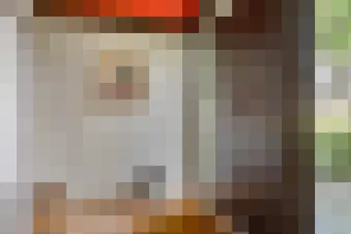 Bringenborg 3 Gendringen thumbnail 10