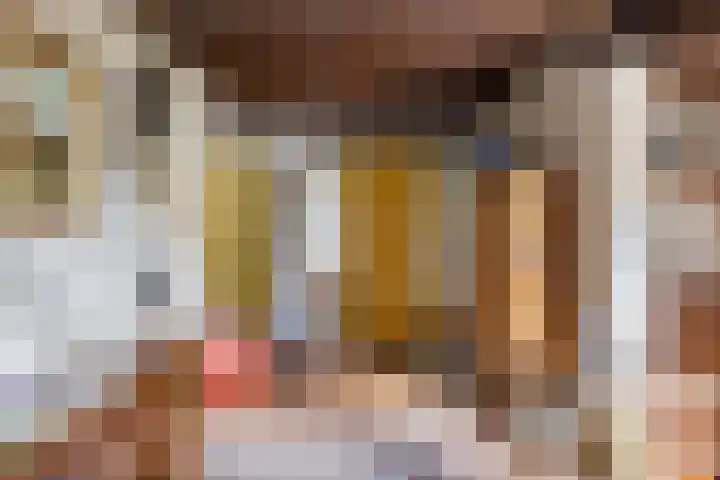 Bringenborg 3 Gendringen thumbnail 14