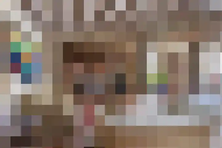 Bringenborg 3 Gendringen thumbnail 15