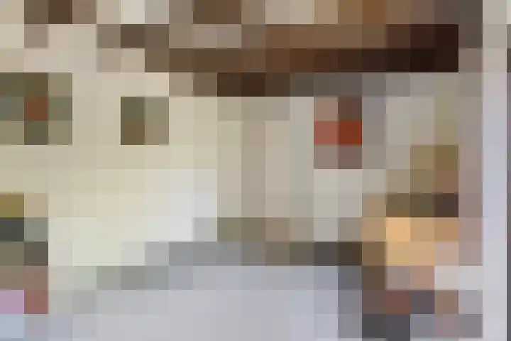 Bringenborg 3 Gendringen thumbnail 22