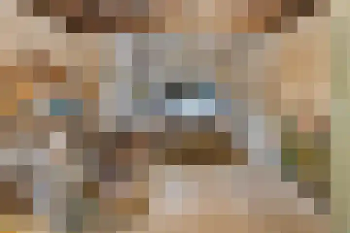 Bringenborg 3 Gendringen thumbnail 25