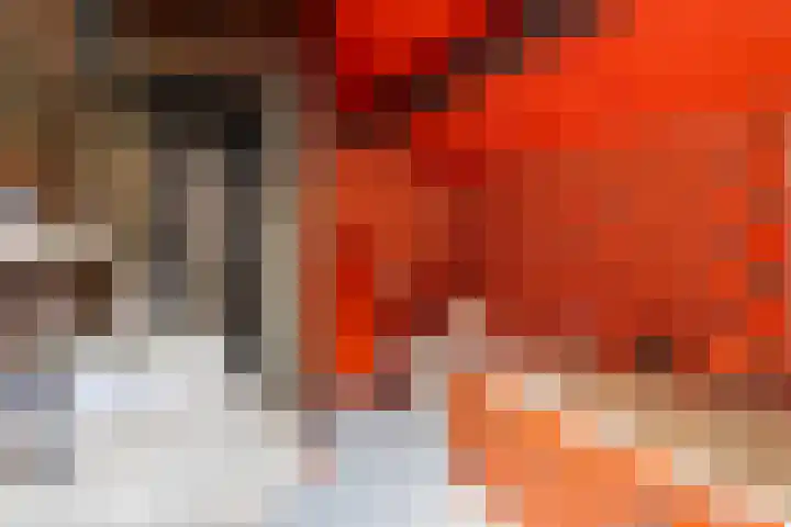 Bringenborg 3 Gendringen thumbnail 31