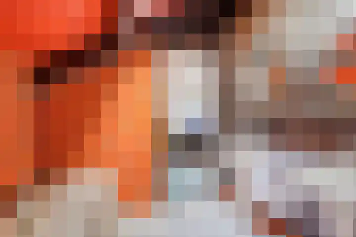 Bringenborg 3 Gendringen thumbnail 32