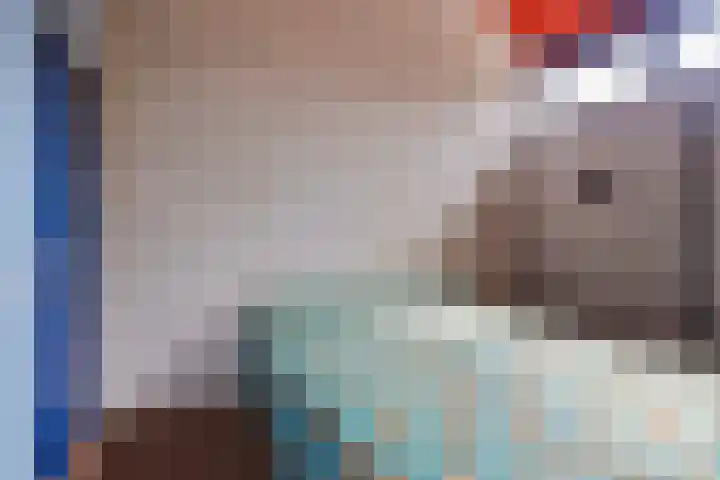 Bringenborg 3 Gendringen thumbnail 35