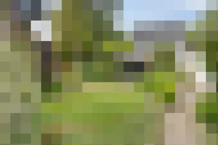 Bringenborg 3 Gendringen thumbnail 39