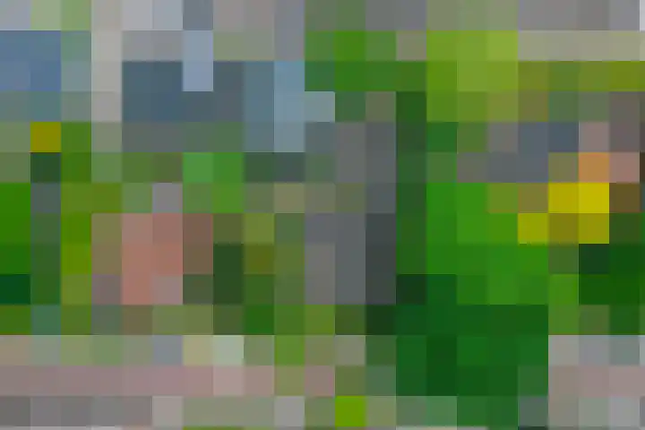 Bringenborg 3 Gendringen thumbnail 42