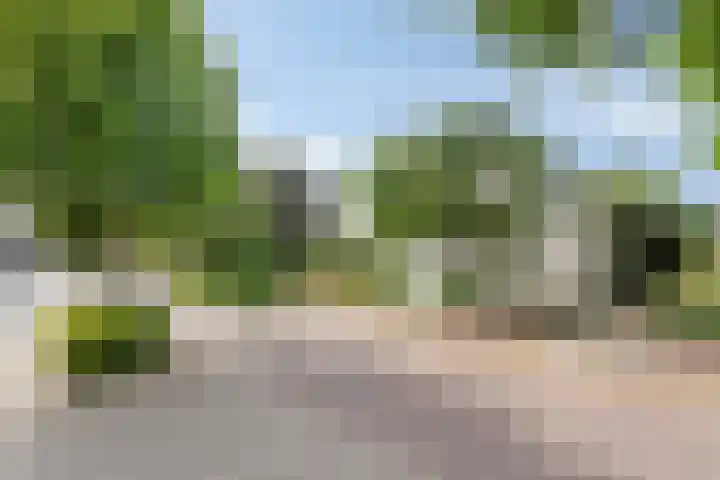 Bringenborg 3 Gendringen thumbnail 43