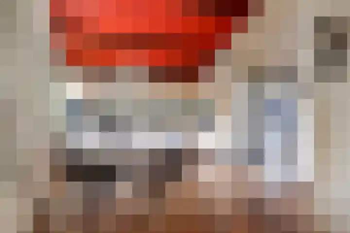 Bringenborg 3 Gendringen thumbnail 5