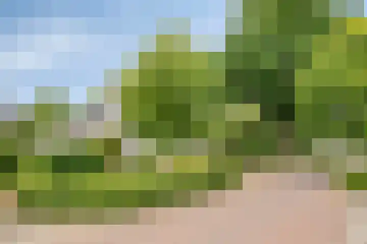 Bringenborg 3 Gendringen thumbnail 8