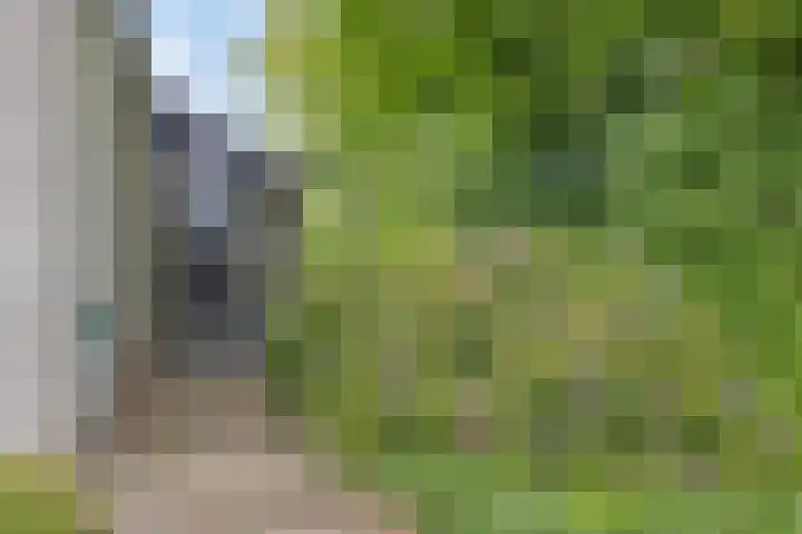 Bringenborg 3 Gendringen thumbnail 9