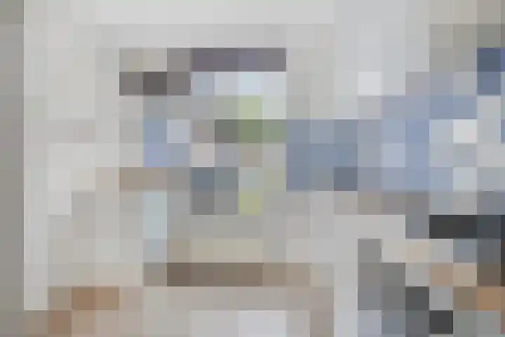 Brink 1 Hooglanderveen thumbnail 10